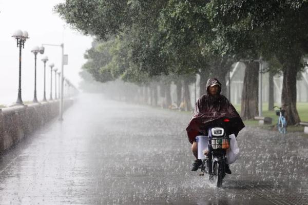 暴雨+高温！广州“桑拿天”上线！这天气将持续到……