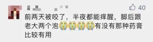 五月外出，当心这种长得像蚊子的小虫！此地有人中招