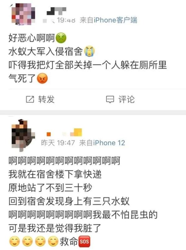 你不要过来啊!“水蚁大军”出没中,密恐慎入…… 你不要过来啊!“水蚁大军”出没中,密恐慎入……