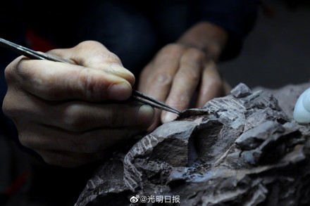 福建上杭县首次发现恐龙蛋化石