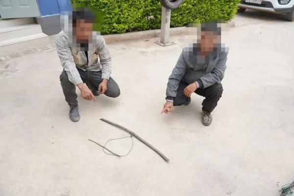 云南两男子上山捡菌 发现獐子粪便后却起了歪心思