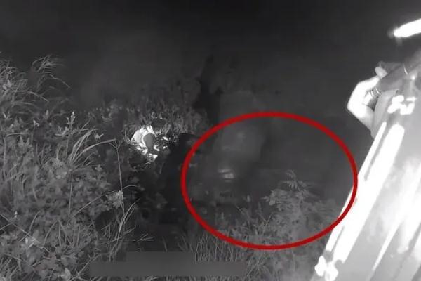 小车失控径直冲进鱼塘!危急时刻,他顾不上水的深浅…… 小车失控径直冲进鱼塘!危急时刻,他顾不上水的深浅……