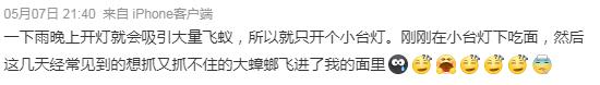比暴雨更可怕！广西近期出现这个小虫，铺天盖地！危害还不小→