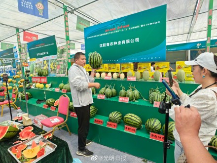 山东昌乐西瓜节展出330个新品种