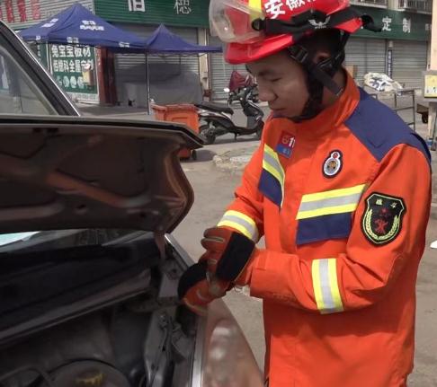 野生蛇类出没 安徽多地最新提示