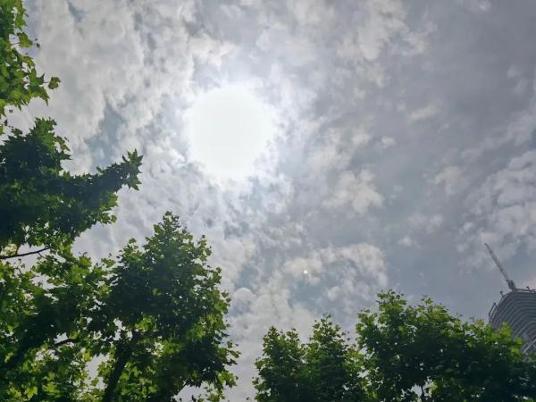 肉眼可见的夏天要来了？上海新晋城堡夜市：小吃多到眼花缭乱，价格很平民！