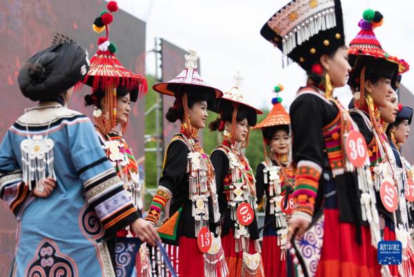 四川美姑县:寻找最美“索玛花” 四川美姑县:寻找最美“索玛花”