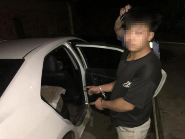 想当“采蜂大盗”？警方：抓！