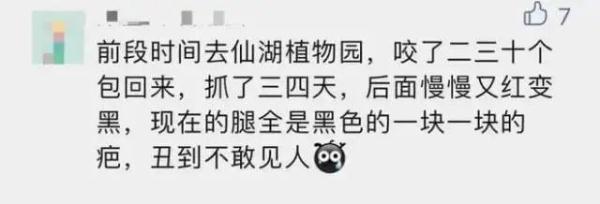 叮一下可能会要命！五月外出，当心它→