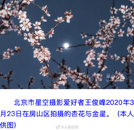 期待住了!金星伴月将浪漫上演 期待住了!金星伴月将浪漫上演