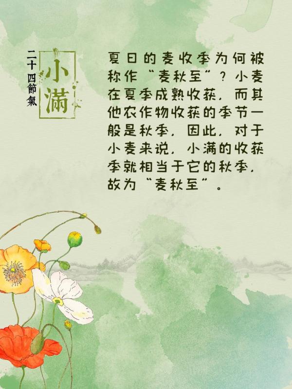 明明是初夏,为何说“麦秋至”? 明明是初夏,为何说“麦秋至”?