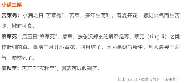 节令之美&middot;小满丨小得盈满，一切刚刚好