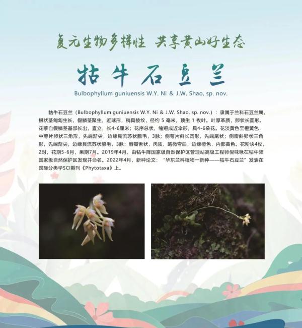 全球新物种！在安徽发现