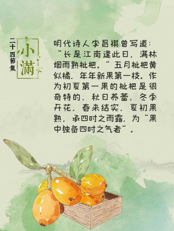 明明是初夏,为何说“麦秋至”? 明明是初夏,为何说“麦秋至”?
