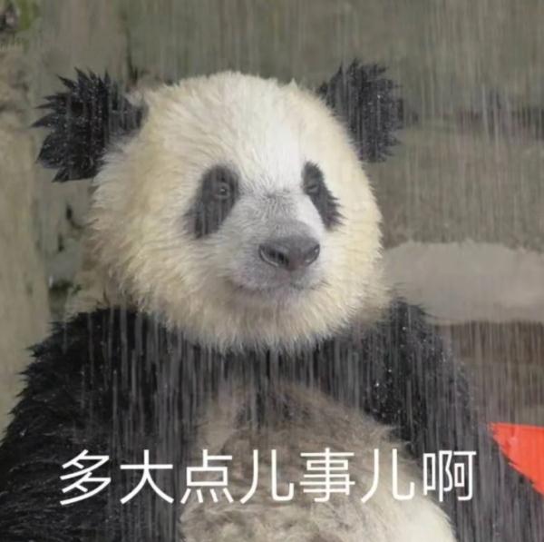 冲上33.2℃！雷阵雨要来了！厦门天气接下来……