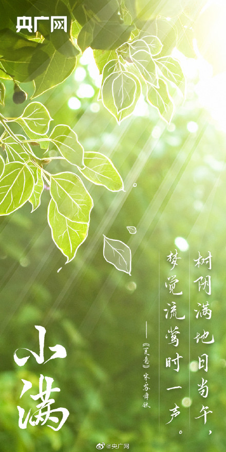 小满里藏着最好的人生状态