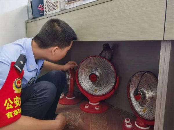 “猫头鹰妈妈,你崽在警察那” “猫头鹰妈妈,你崽在警察那”