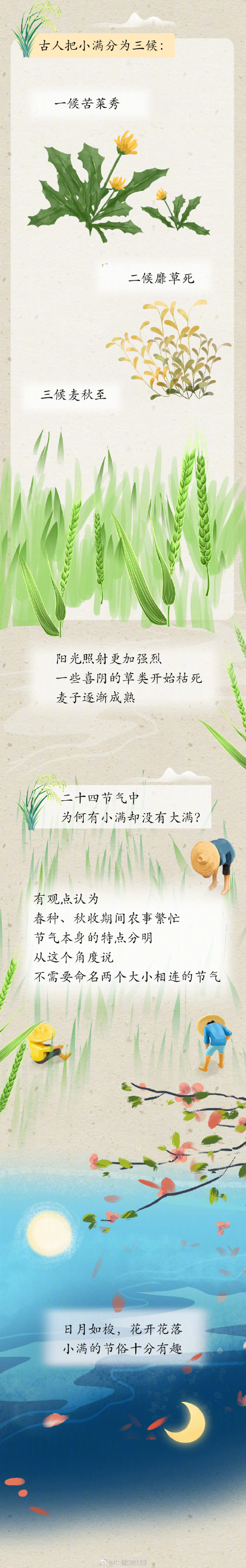 为什么有小满没大满 为什么有小满没大满