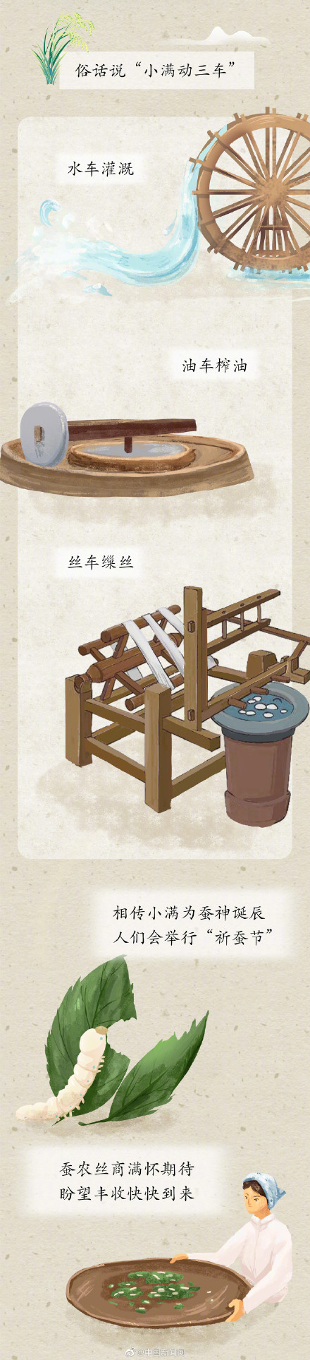 为什么有小满没大满 为什么有小满没大满