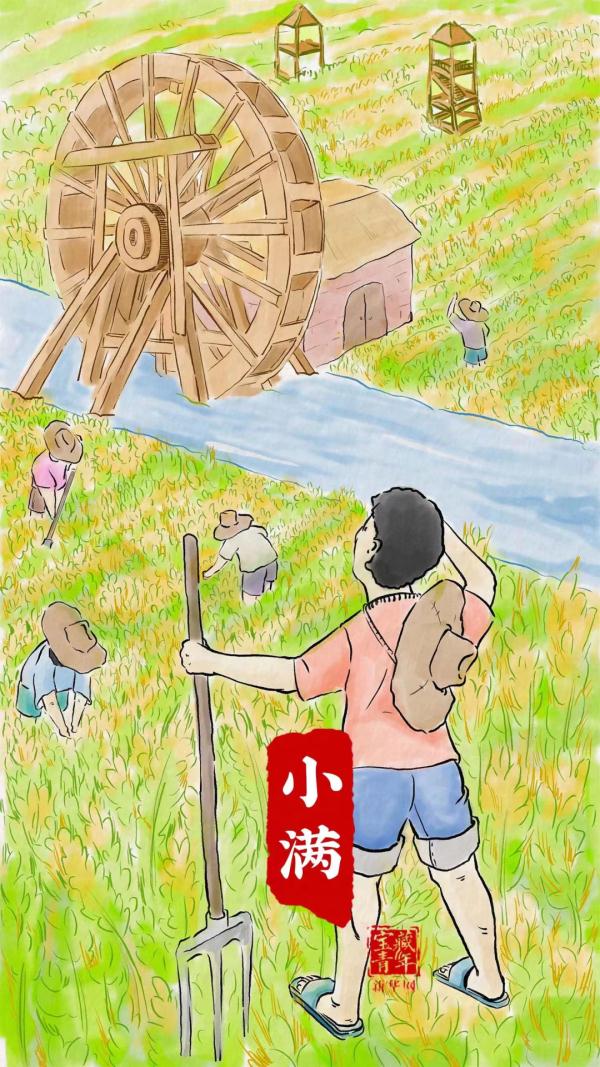 关于小满的24句话！