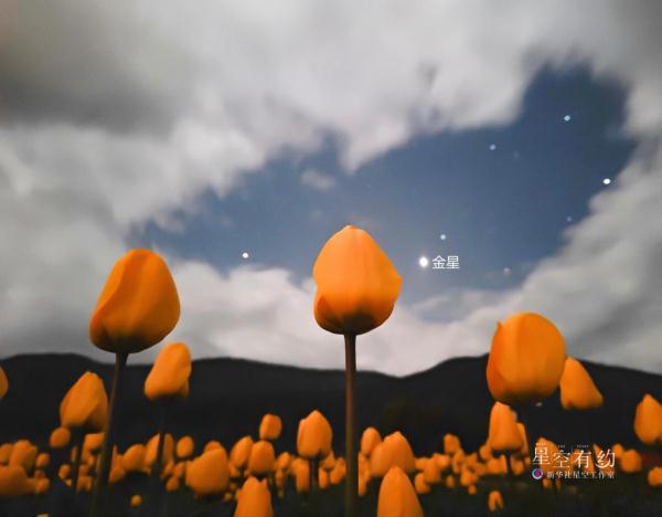 美如画!金星伴月23日傍晚现身双子座 美如画!金星伴月23日傍晚现身双子座