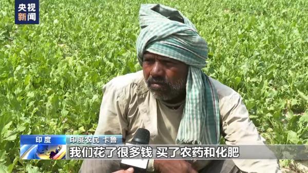 印度多地持续高温 农业生产受到影响