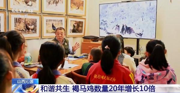 在大院里遛个弯 发现一只“天降”奇鸟→