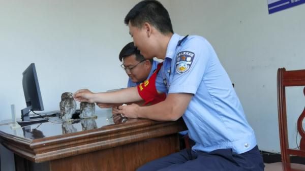 “猫头鹰妈妈,你崽在警察那” “猫头鹰妈妈,你崽在警察那”