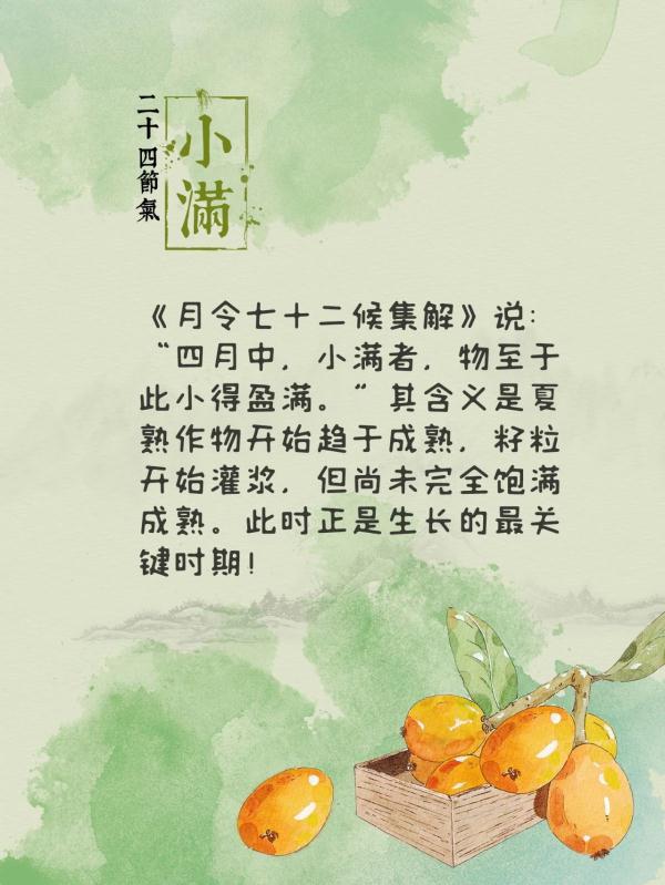 明明是初夏,为何说“麦秋至”? 明明是初夏,为何说“麦秋至”?