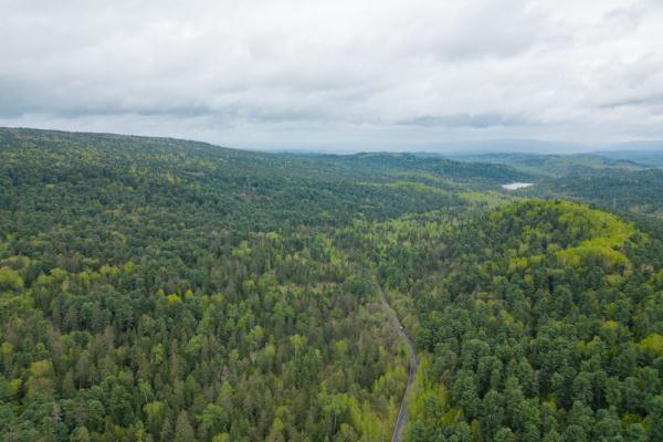 黑龙江五营国家森林公园夏日景色