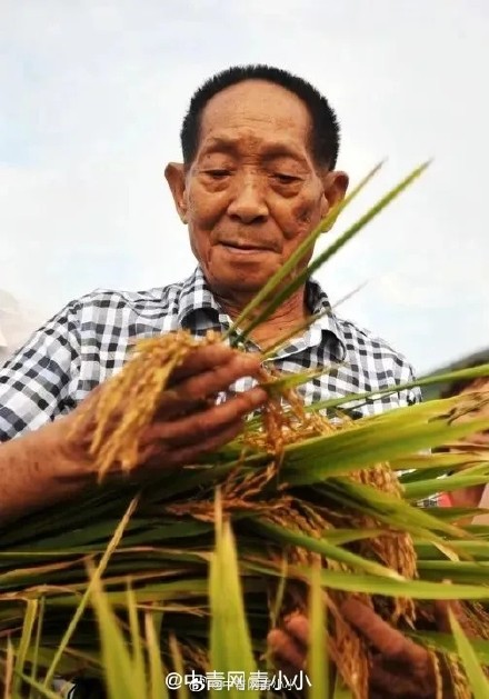 袁隆平星、吴孟超星画面刷屏！提醒：好好吃饭，健康长大