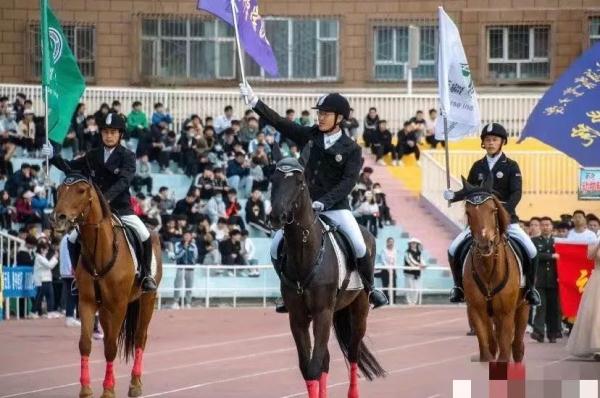 “你好！今天也是骑马上学的一天！”