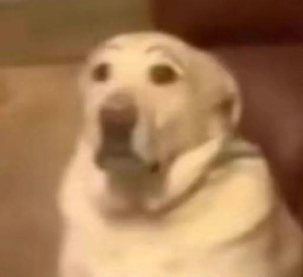 快讯！台风“玛娃”升级！福建发布“暴雨预警Ⅳ级”→