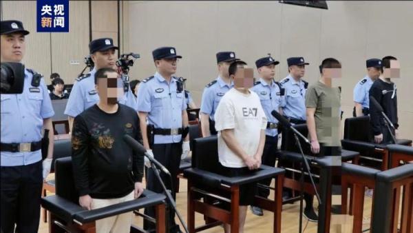 非法猎售1200余只画眉鸟 四人获刑! 非法猎售1200余只画眉鸟 四人获刑!