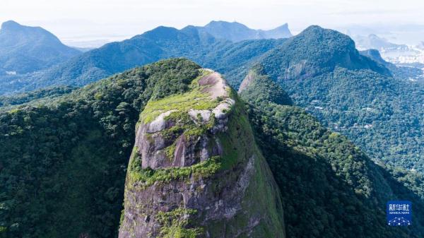 探访巴西蒂茹卡国家公园 探访巴西蒂茹卡国家公园