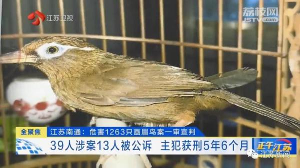 今天上午,这起案件当庭宣判! 今天上午,这起案件当庭宣判!