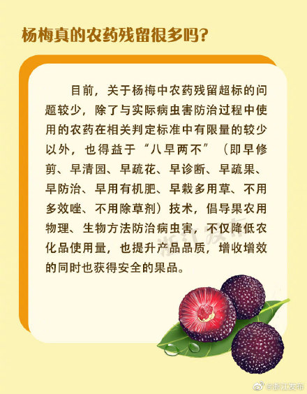 今年的第一颗杨梅怎么吃？食用攻略来了