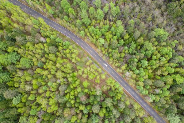 黑龙江五营国家森林公园夏日景色
