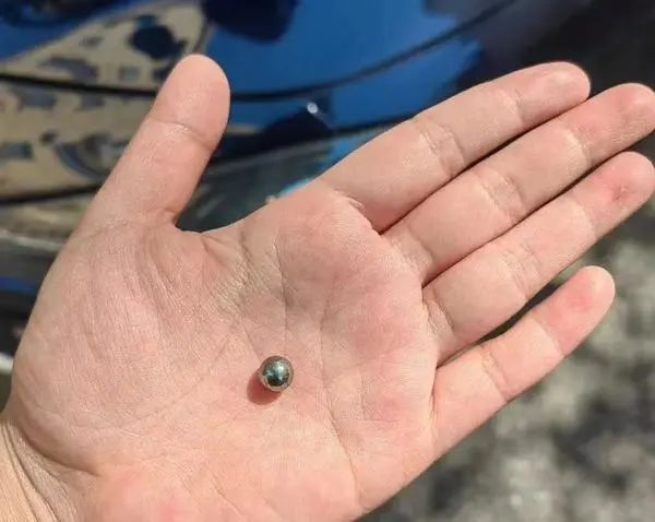 钢珠碎窗！利器划擦！沪上小区多辆私家车屡遭“黑手”！为何总抓不到作案人？
