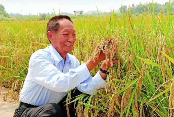 两年了，我们很想您！