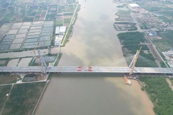 跨江“牵手”！去中山吃乳鸽更方便了→