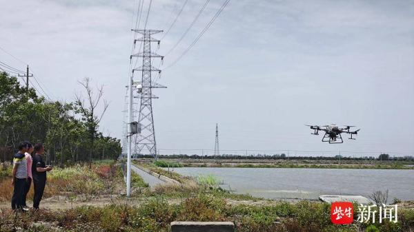 “无人机投喂师”每天养千亩小龙虾!工作超10个小时 “无人机投喂师”每天养千亩小龙虾!工作超10个小时