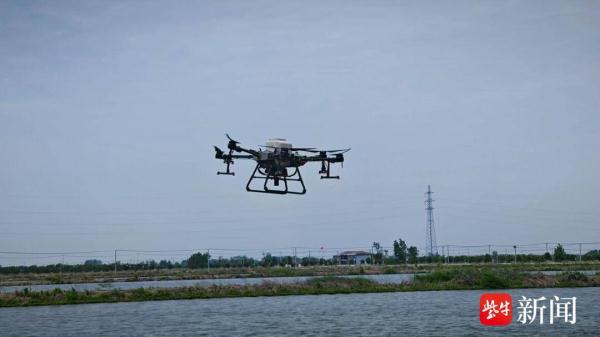 “无人机投喂师”每天养千亩小龙虾!工作超10个小时 “无人机投喂师”每天养千亩小龙虾!工作超10个小时