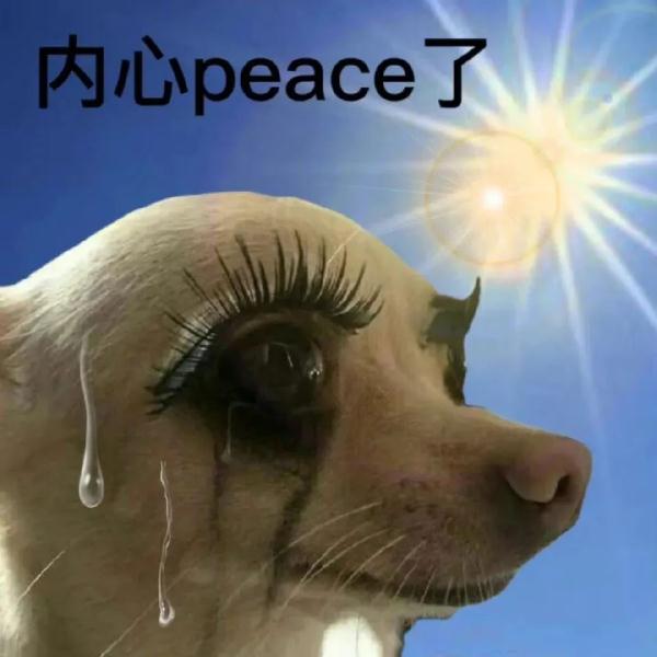 快讯！台风“玛娃”升级！福建发布“暴雨预警Ⅳ级”→