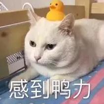 快讯！台风“玛娃”升级！福建发布“暴雨预警Ⅳ级”→