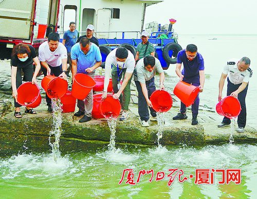 约500万尾鱼苗在嵩鼓码头放流大海