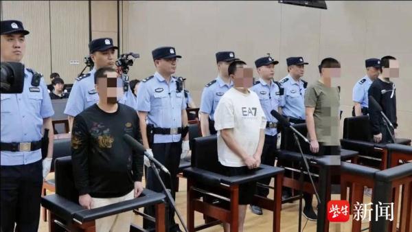 一审宣判!1200多只野生画眉鸟被捕捉售卖,四人获刑刑期最高五年半 一审宣判!1200多只野生画眉鸟被捕捉售卖,四人获刑刑期最高五年半