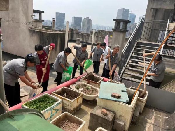 楼顶变成“私家菜园”？民警、社区、物业齐出手