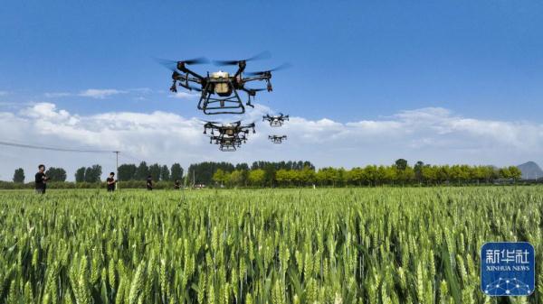 河北遵化:“农田保姆”助农增收 河北遵化:“农田保姆”助农增收