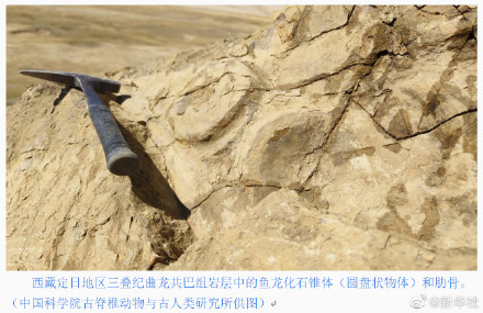 史前海怪化石再现珠峰